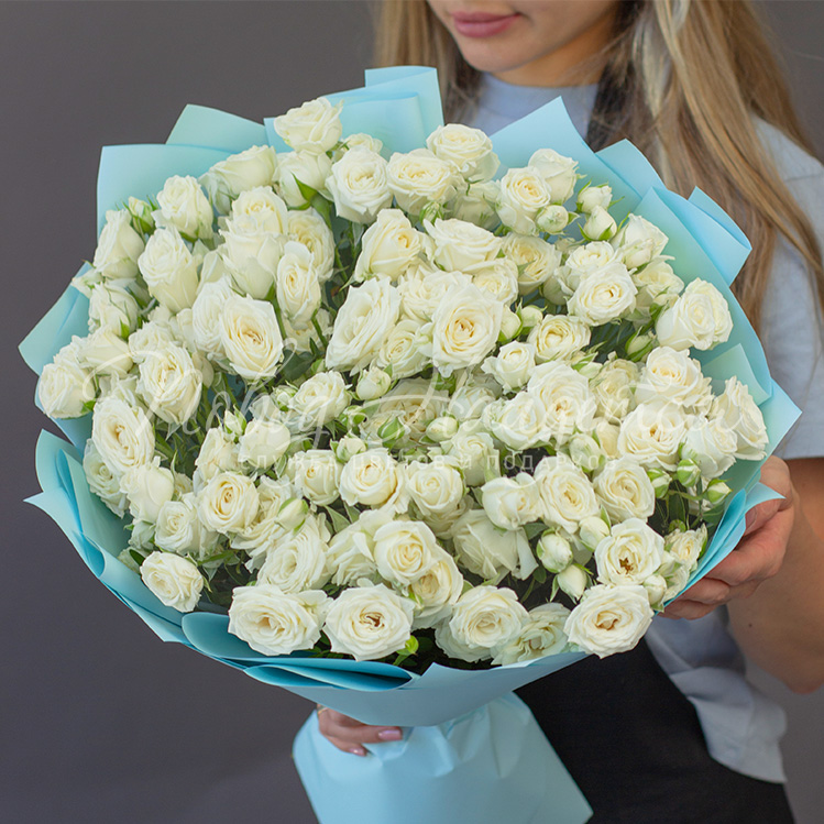 Кустовые розы Голубоглазка