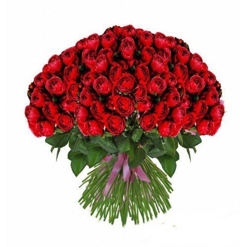 Розы Ред
