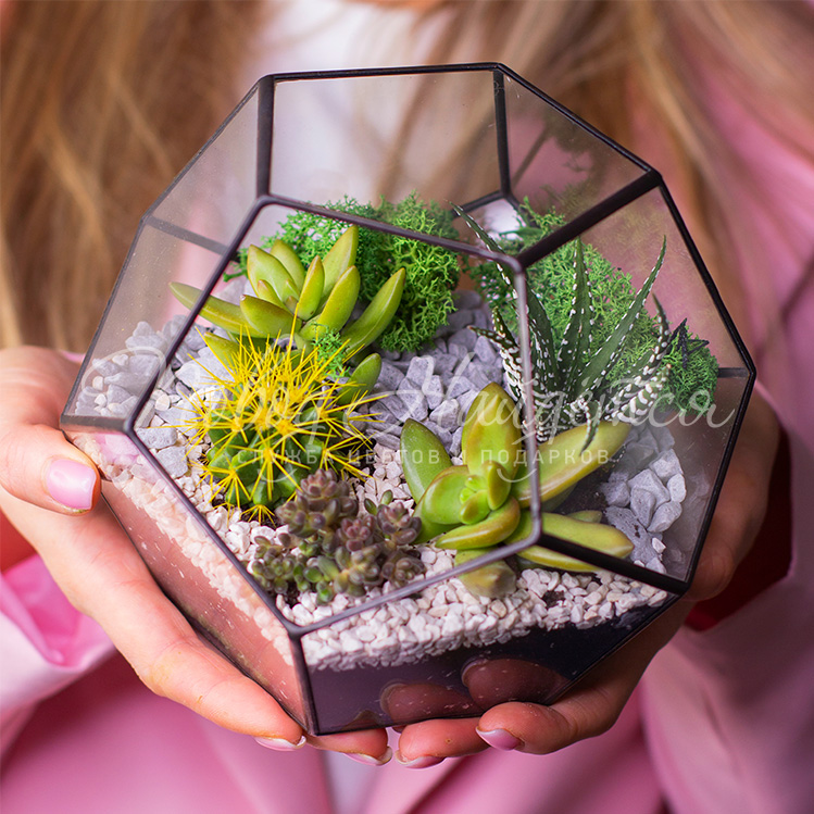 Зеленое Оазис дома