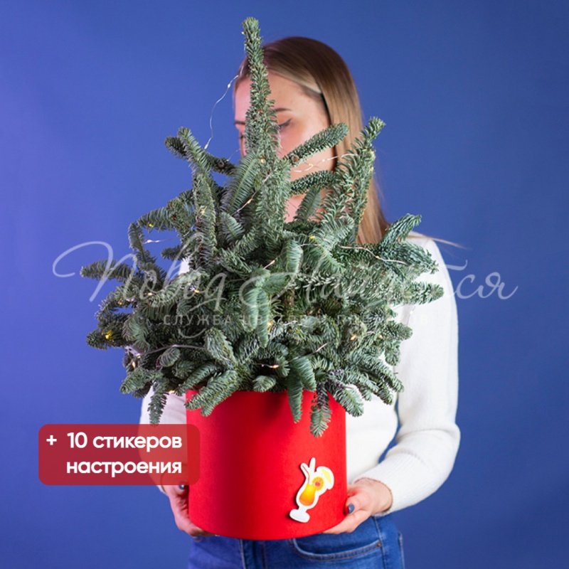 Новогоднее настроение