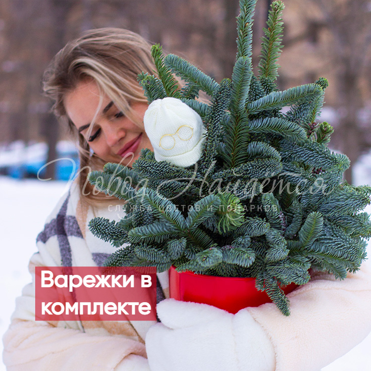 Дух Рождества