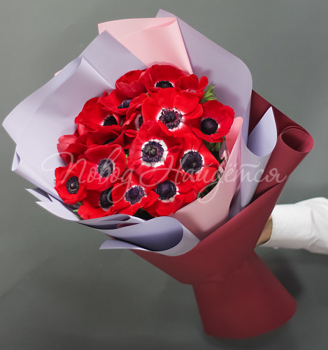 АНЕМОНЫ Никки