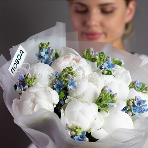 ПИОНЫ Нежное царство