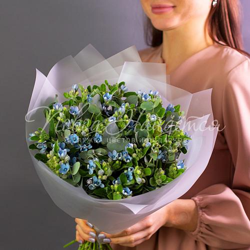 Лесные сказки