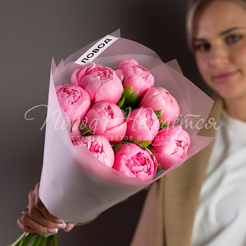 ПИОНЫ Сальма чиз