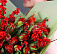 Заветные сны