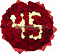 45 лет