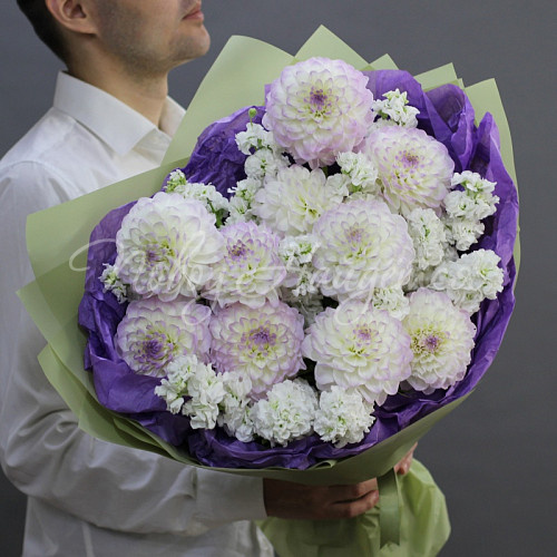 ГЕОРГИНЫ Портофино