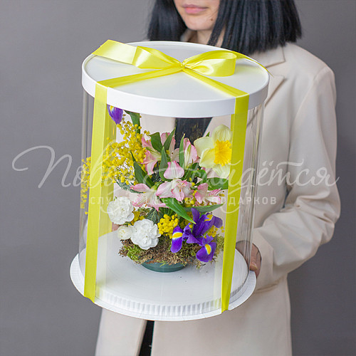 8.03 КОРП ВОХ 7