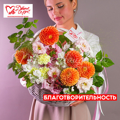 1 сентября Дари добро