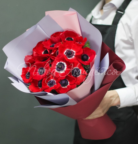 АНЕМОНЫ Никки