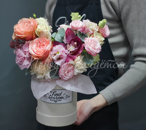 Коробки Очей очарованье