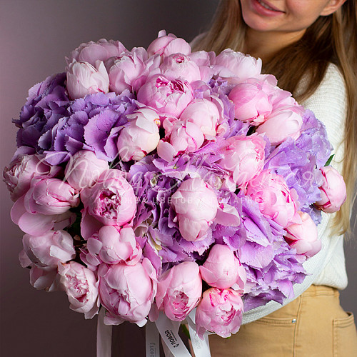 ПИОНЫ Тает лёд