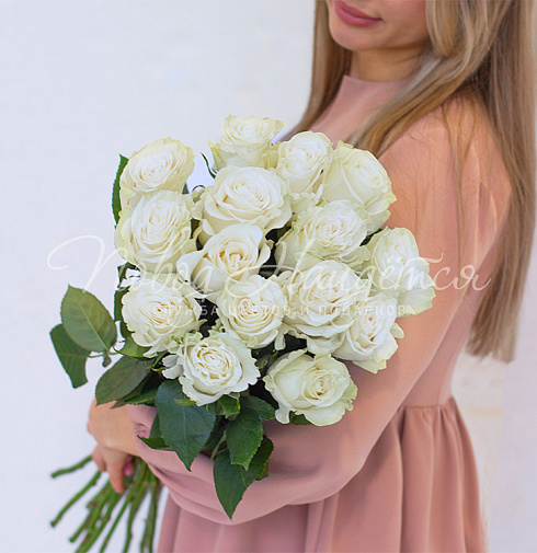 15 роз Mondial