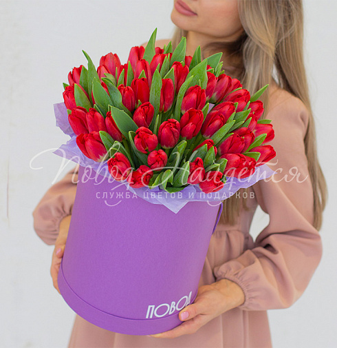 Феррари