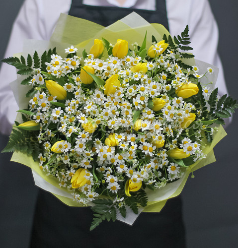 РОМАШКИ Ослепительной