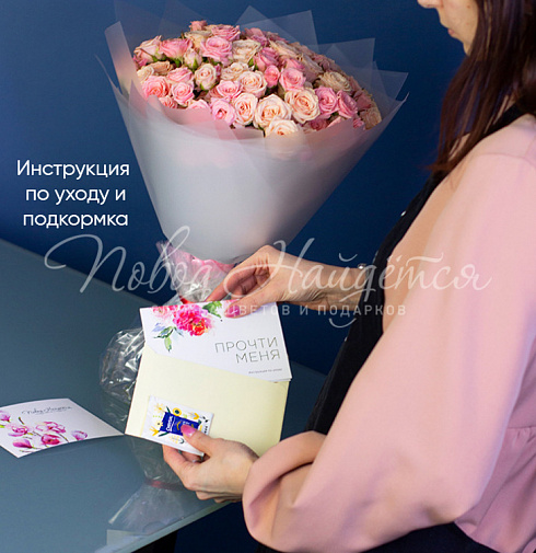 Фиджи