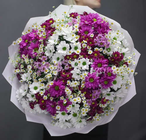 ХРИЗАНТЕМЫ Привет,ромашки