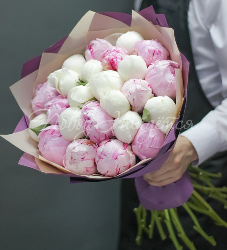 ПИОНЫ Бархатный сезон