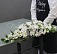 Комбо 005