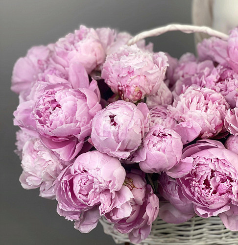 ПИОНЫ Капелла