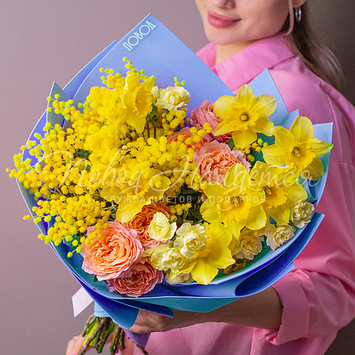 8.03 Путь к солнцу