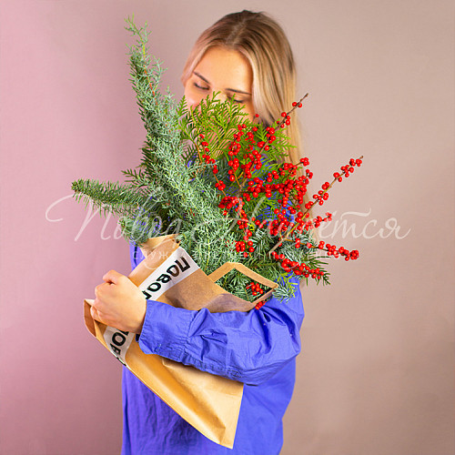 Новый год Тайна Рождества