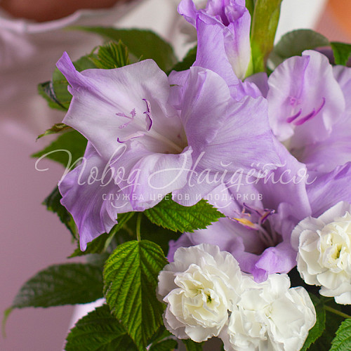 2000 - 3500 руб. Олимпия