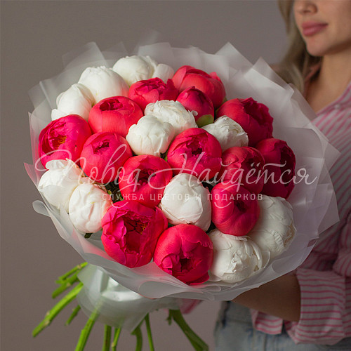 ПИОНЫ Чары любви