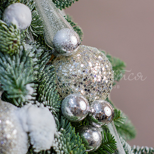 Новый год Сказочная елка