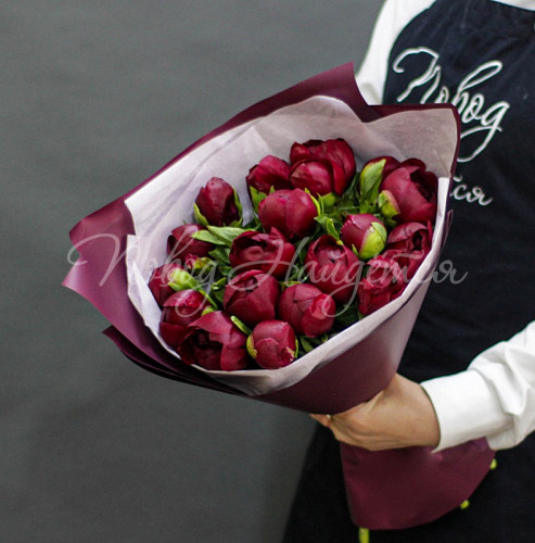 ПИОНЫ Горький шоколад