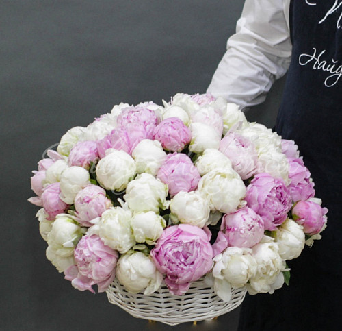 ПИОНЫ Летние каникулы