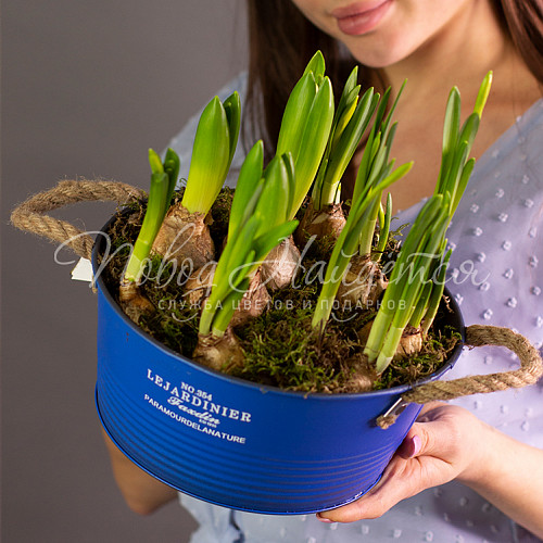 23.02 Лучики весны