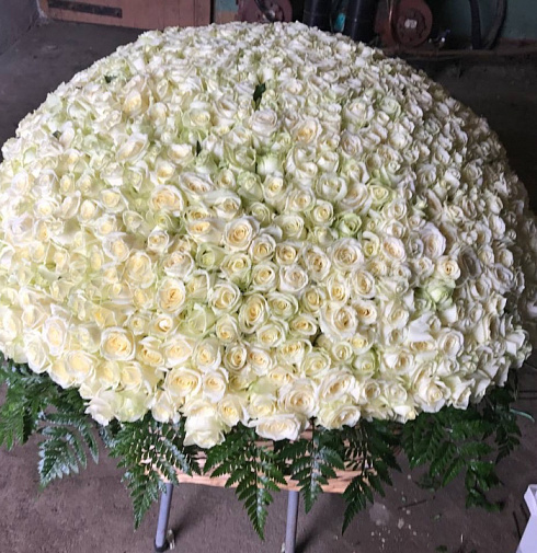 1001 белая роза