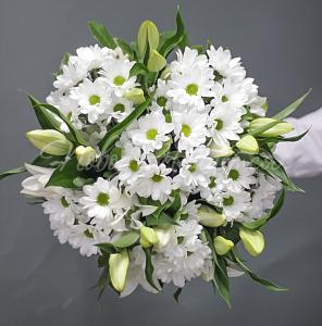 Гармония