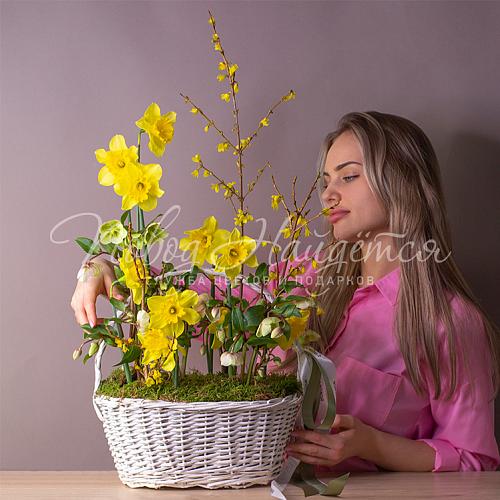 Весенняя пташка