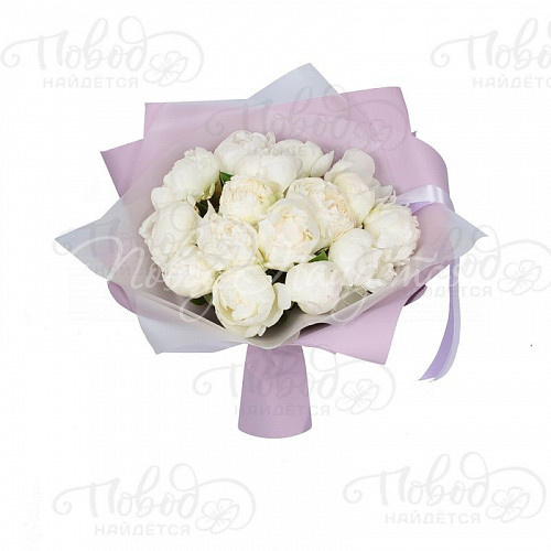 ПИОНЫ Ангельское крыло