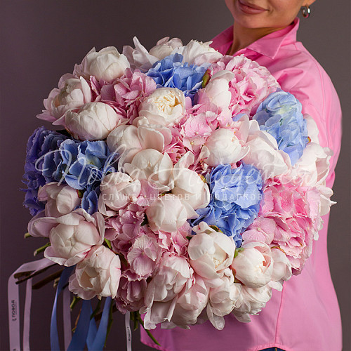 ПИОНЫ Русская красавица