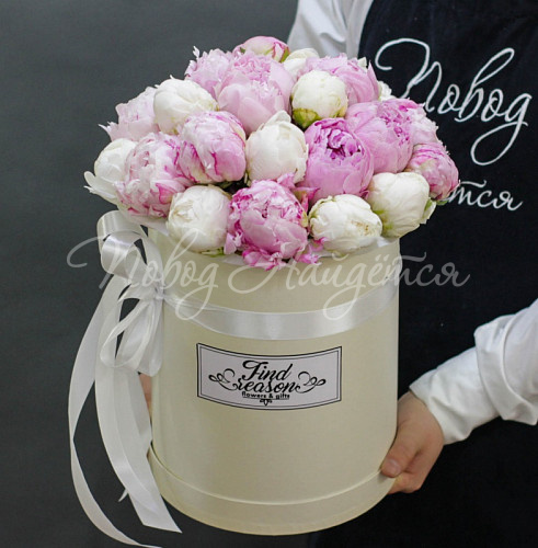 ПИОНЫ Неженка