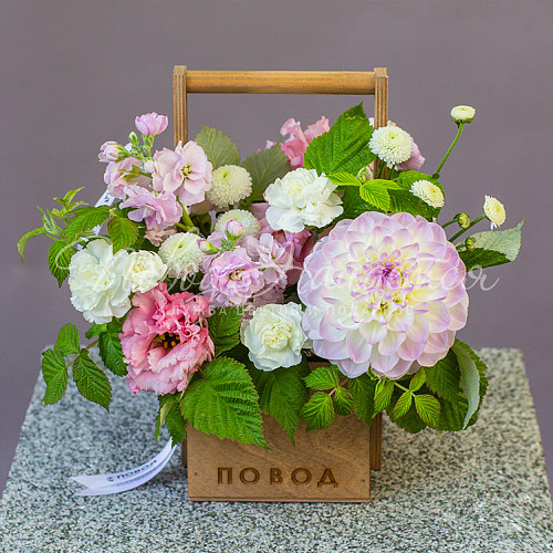 День учителя Созерцая небо