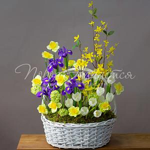 ВЕСНА Весенний романс