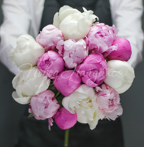 ПИОНЫ Особый