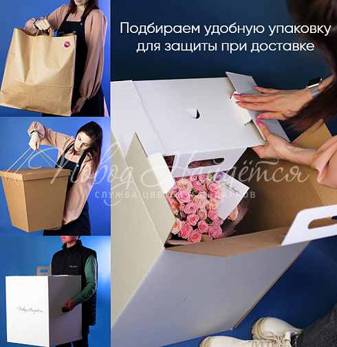 Выше неба