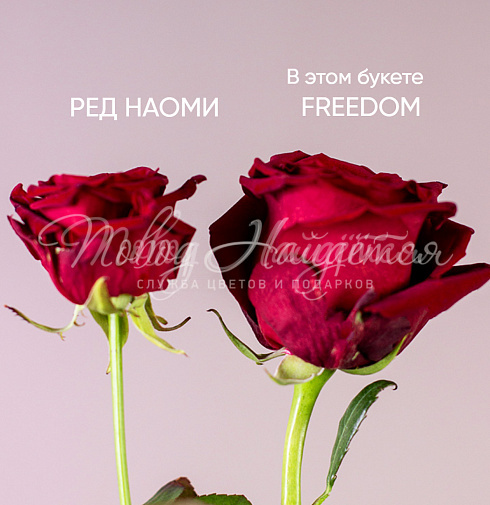 25 роз Freedom