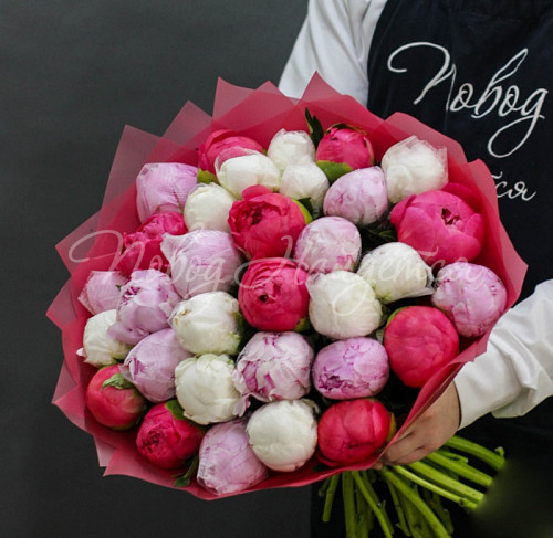 ПИОНЫ Аридея