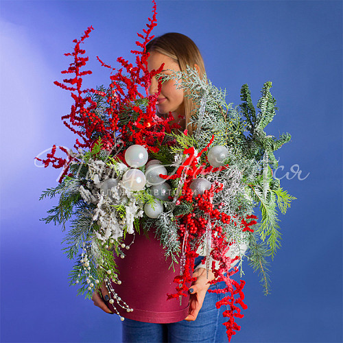 Новый год Тайна хвойного леса