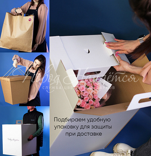Фиджи