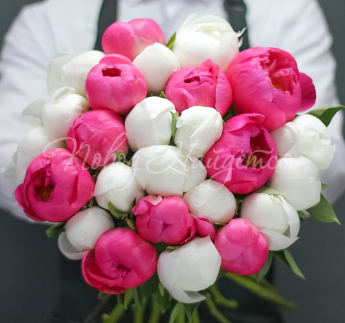 ПИОНЫ Таллин