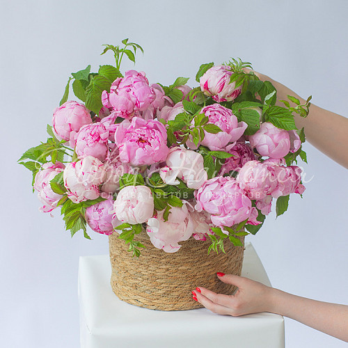 ЛЕТО Светлые мечты