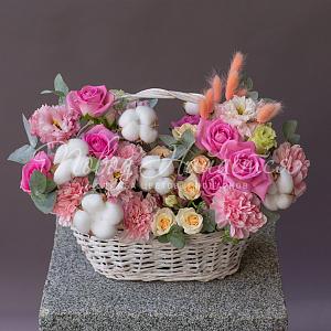Совершенство красоты
